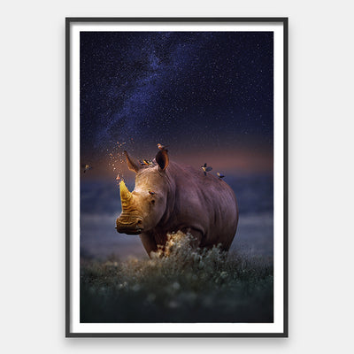 Rhinocorn