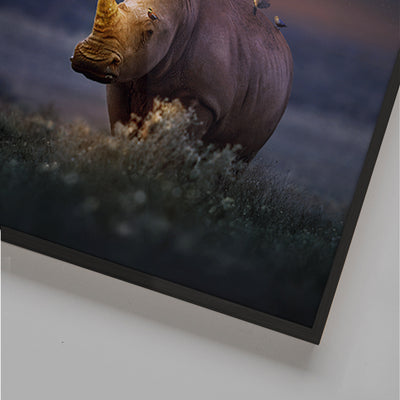 Rhinocorn