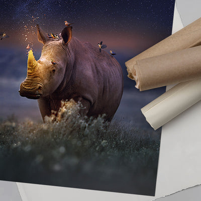 Rhinocorn