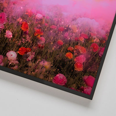 Floral Dreams